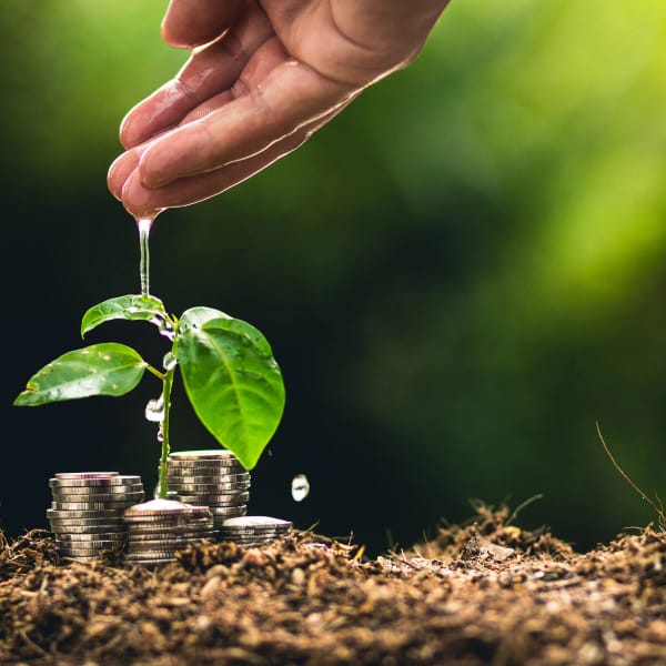 Coaching budgétaire Bouaye